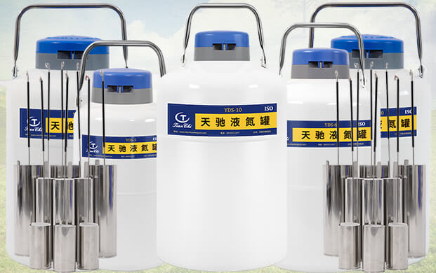 10升液氮罐能裝多少支凍精？